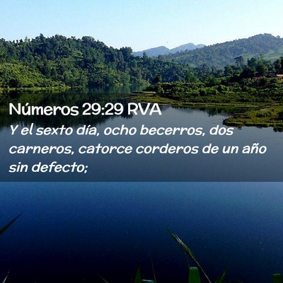 Picture 02 - Números 29:29 RVA - Y el sexto día, ocho becerros, dos carneros, - Bible Verse Picture