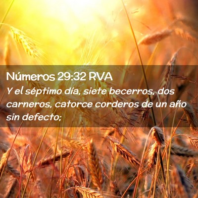 Picture 02 - Números 29:32 RVA - Y el séptimo día, siete becerros, dos carneros, - Bible Verse Picture