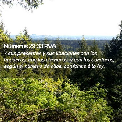 Picture 02 - Números 29:33 RVA - Y sus presentes y sus libaciones con los - Bible Verse Picture