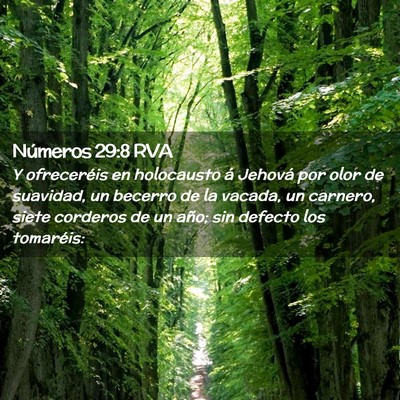 Picture 02 - Números 29:8 RVA - Y ofreceréis en holocausto á Jehová por olor - Bible Verse Picture