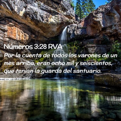 Picture 02 - Números 3:28 RVA - Por la cuenta de todos los varones de un mes - Bible Verse Picture