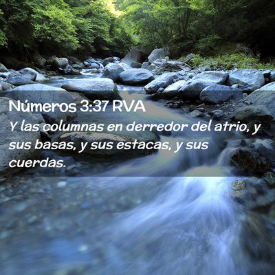 Picture 02 - Números 3:37 RVA - Y las columnas en derredor del atrio, y sus - Bible Verse Picture