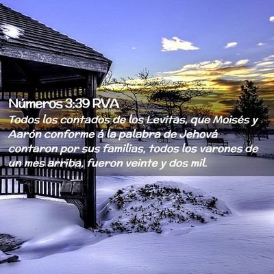 Picture 02 - Números 3:39 RVA - Todos los contados de los Levitas, que Moisés y - Bible Verse Picture