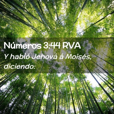 Picture 02 - Números 3:44 RVA - Y habló Jehová á Moisés, - Bible Verse Picture