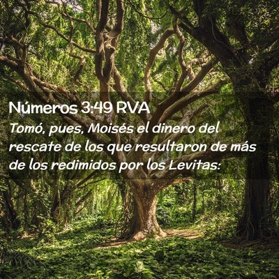 Picture 02 - Números 3:49 RVA - Tomó, pues, Moisés el dinero del rescate de los - Bible Verse Picture