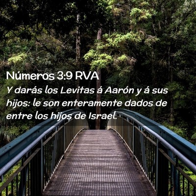 Picture 02 - Números 3:9 RVA - Y darás los Levitas á Aarón y á sus hijos: le - Bible Verse Picture