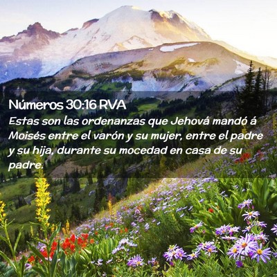 Picture 02 - Números 30:16 RVA - Estas son las ordenanzas que Jehová mandó á - Bible Verse Picture