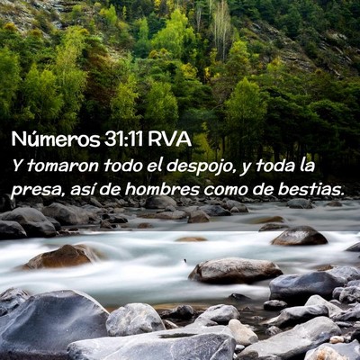 Picture 02 - Números 31:11 RVA - Y tomaron todo el despojo, y toda la presa, así - Bible Verse Picture