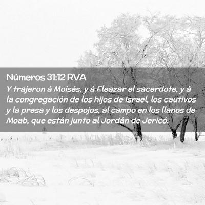 Picture 02 - Números 31:12 RVA - Y trajeron á Moisés, y á Eleazar el sacerdote, - Bible Verse Picture