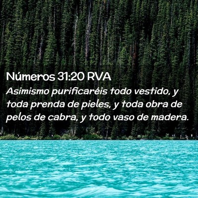 Picture 02 - Números 31:20 RVA - Asimismo purificaréis todo vestido, y toda - Bible Verse Picture