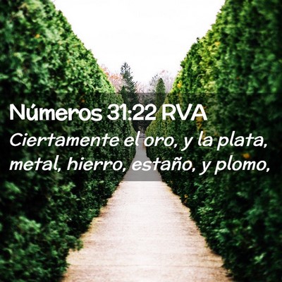 Picture 02 - Números 31:22 RVA - Ciertamente el oro, y la plata, metal, hierro, - Bible Verse Picture