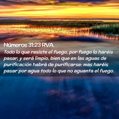 Picture 02 - Números 31:23 RVA - Todo lo que resiste el fuego, por fuego lo - Bible Verse Picture