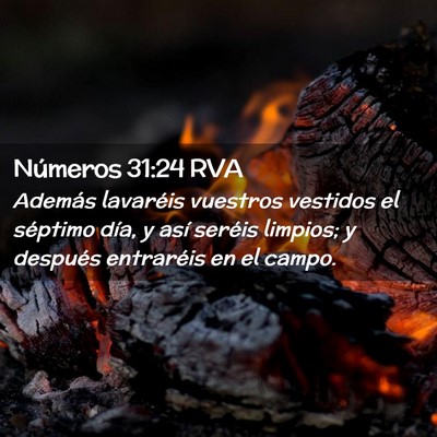 Picture 02 - Números 31:24 RVA - Además lavaréis vuestros vestidos el séptimo - Bible Verse Picture