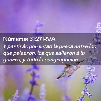 Picture 02 - Números 31:27 RVA - Y partirás por mitad la presa entre los que - Bible Verse Picture