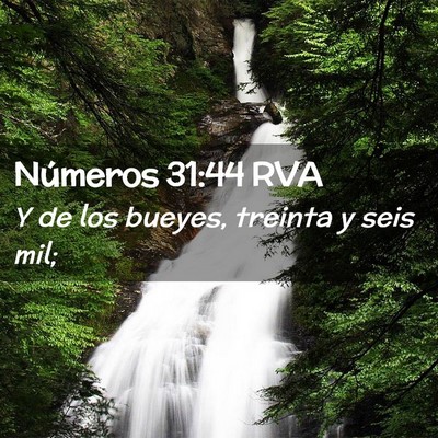 Picture 02 - Números 31:44 RVA - Y de los bueyes, treinta y seis - Bible Verse Picture