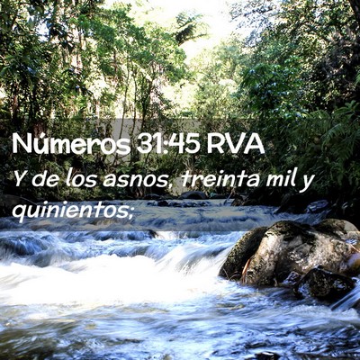 Picture 02 - Números 31:45 RVA - Y de los asnos, treinta mil y - Bible Verse Picture