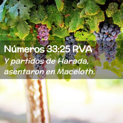 Picture 02 - Números 33:25 RVA - Y partidos de Harada, asentaron en - Bible Verse Picture