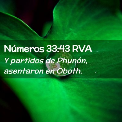 Picture 02 - Números 33:43 RVA - Y partidos de Phunón, asentaron en - Bible Verse Picture