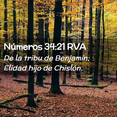 Picture 02 - Números 34:21 RVA - De la tribu de Benjamín; Elidad hijo de - Bible Verse Picture