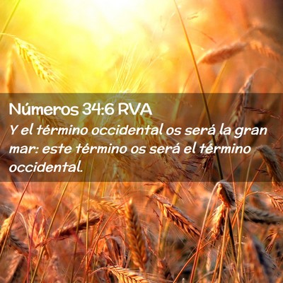 Picture 02 - Números 34:6 RVA - Y el término occidental os será la gran mar: - Bible Verse Picture
