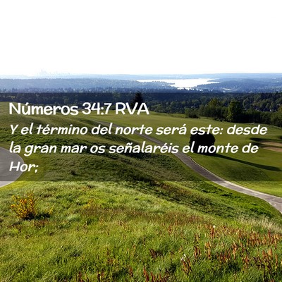 Picture 02 - Números 34:7 RVA - Y el término del norte será este: desde la gran - Bible Verse Picture