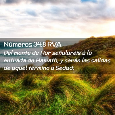 Picture 02 - Números 34:8 RVA - Del monte de Hor señalaréis á la entrada de - Bible Verse Picture