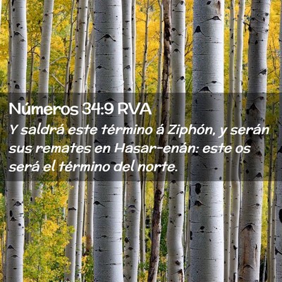 Picture 02 - Números 34:9 RVA - Y saldrá este término á Ziphón, y serán sus - Bible Verse Picture