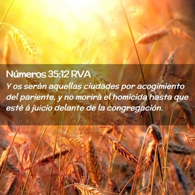 Picture 02 - Números 35:12 RVA - Y os serán aquellas ciudades por acogimiento del - Bible Verse Picture