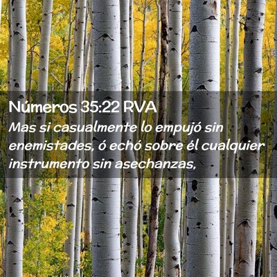 Picture 02 - Números 35:22 RVA - Mas si casualmente lo empujó sin enemistades, ó - Bible Verse Picture