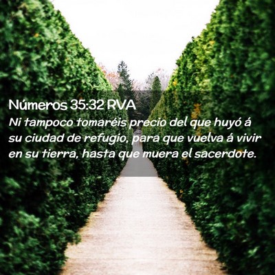 Picture 02 - Números 35:32 RVA - Ni tampoco tomaréis precio del que huyó á su - Bible Verse Picture