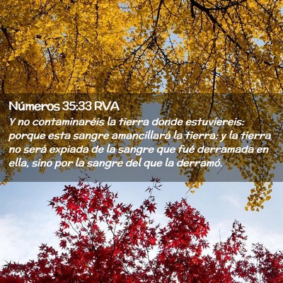Picture 02 - Números 35:33 RVA - Y no contaminaréis la tierra donde estuviereis: - Bible Verse Picture