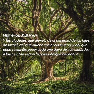 Picture 02 - Números 35:8 RVA - Y las ciudades que diereis de la heredad de los - Bible Verse Picture
