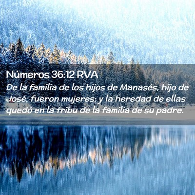 Picture 02 - Números 36:12 RVA - De la familia de los hijos de Manasés, hijo de - Bible Verse Picture