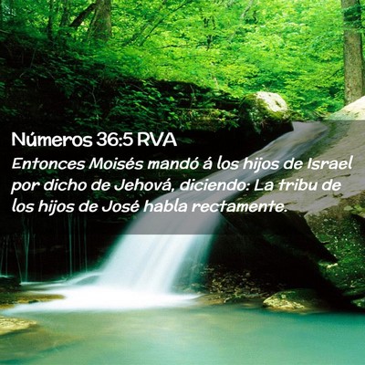 Picture 02 - Números 36:5 RVA - Entonces Moisés mandó á los hijos de Israel - Bible Verse Picture