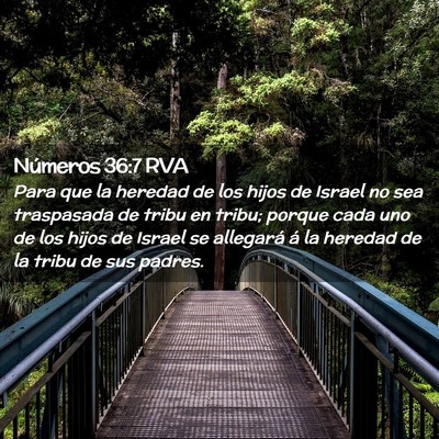 Picture 02 - Números 36:7 RVA - Para que la heredad de los hijos de Israel no sea - Bible Verse Picture