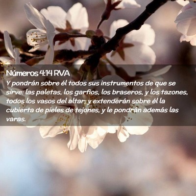 Picture 02 - Números 4:14 RVA - Y pondrán sobre él todos sus instrumentos de - Bible Verse Picture