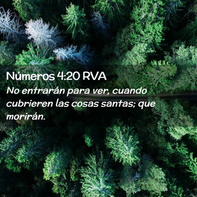 Picture 02 - Números 4:20 RVA - No entrarán para ver, cuando cubrieren las cosas - Bible Verse Picture
