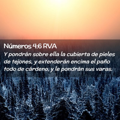 Picture 02 - Números 4:6 RVA - Y pondrán sobre ella la cubierta de pieles de - Bible Verse Picture