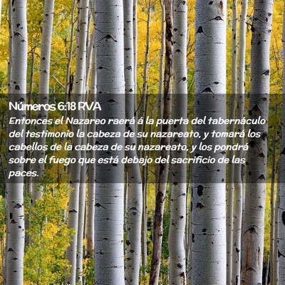 Picture 02 - Números 6:18 RVA - Entonces el Nazareo raerá á la puerta del - Bible Verse Picture