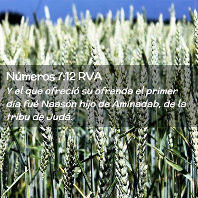 Picture 02 - Números 7:12 RVA - Y el que ofreció su ofrenda el primer día fué - Bible Verse Picture