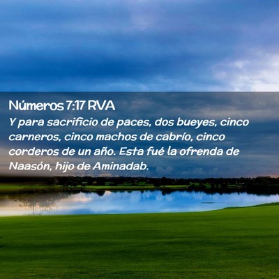 Picture 02 - Números 7:17 RVA - Y para sacrificio de paces, dos bueyes, cinco - Bible Verse Picture