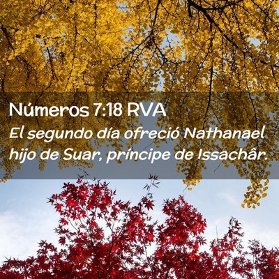 Picture 02 - Números 7:18 RVA - El segundo día ofreció Nathanael hijo de Suar, - Bible Verse Picture