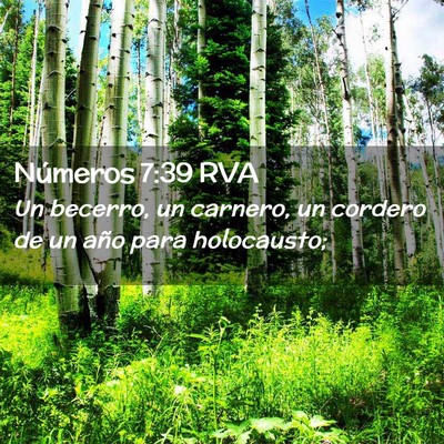 Picture 02 - Números 7:39 RVA - Un becerro, un carnero, un cordero de un año - Bible Verse Picture