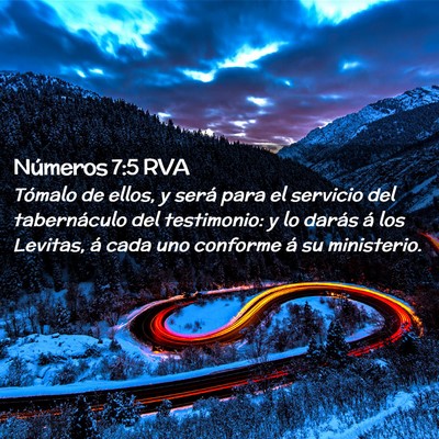 Picture 02 - Números 7:5 RVA - Tómalo de ellos, y será para el servicio del - Bible Verse Picture