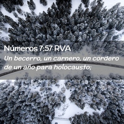 Picture 02 - Números 7:57 RVA - Un becerro, un carnero, un cordero de un año - Bible Verse Picture