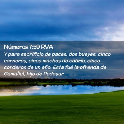 Picture 02 - Números 7:59 RVA - Y para sacrificio de paces, dos bueyes, cinco - Bible Verse Picture
