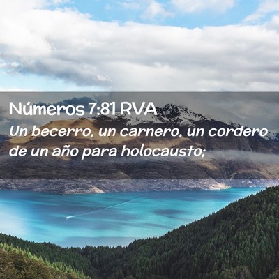 Picture 02 - Números 7:81 RVA - Un becerro, un carnero, un cordero de un año - Bible Verse Picture