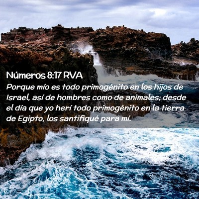 Picture 02 - Números 8:17 RVA - Porque mío es todo primogénito en los hijos de - Bible Verse Picture