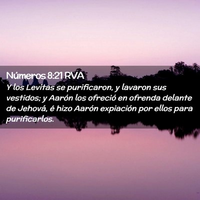 Picture 02 - Números 8:21 RVA - Y los Levitas se purificaron, y lavaron sus - Bible Verse Picture