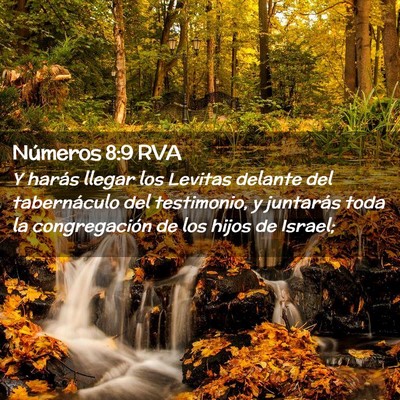 Picture 02 - Números 8:9 RVA - Y harás llegar los Levitas delante del - Bible Verse Picture